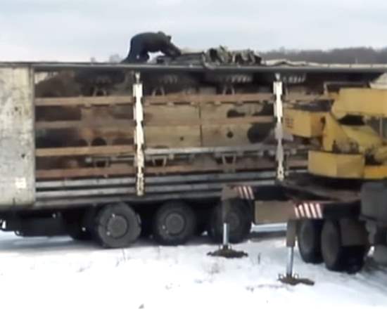 БТР 70 привезли в фуре: "Если в вашей коллекции уже есть БТР 80, то появление в ней БТР 70 - уже неизбежно" (2020)