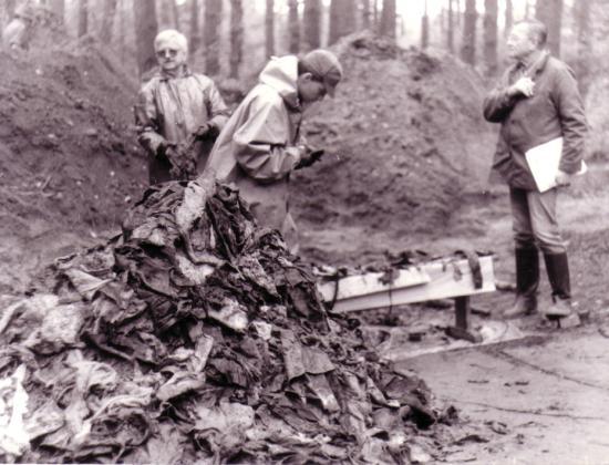 Катынь: кто расстрелял поляков - немцы или сотрудники НКВД? (Россия) 2018