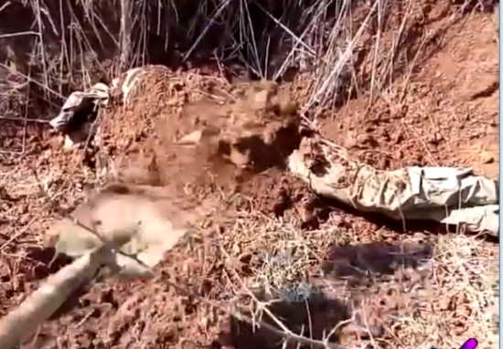 Потери ВСУ от артиллерии РОССИЙСКОЙ АРМИИ не поддаются подсчету! Последние новости с Украины, бои и сводки - утро 16 мая (18 видео)