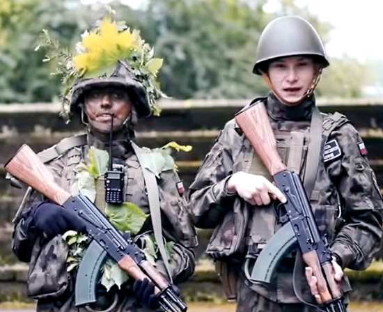 Войско польское растет, но не крепнет. Почему армия РФ разгромит Польшу за несколько дней? (2021)