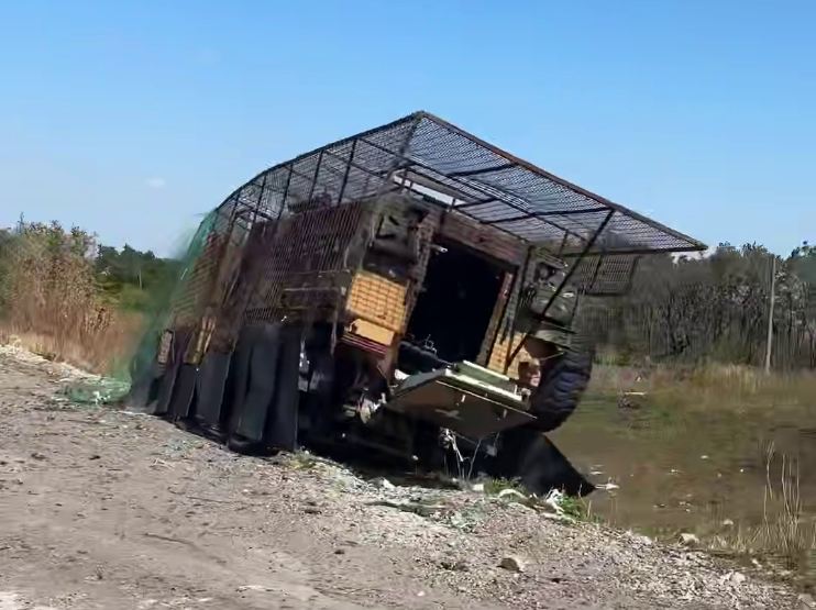 Скриншот 18 10 2025 110127